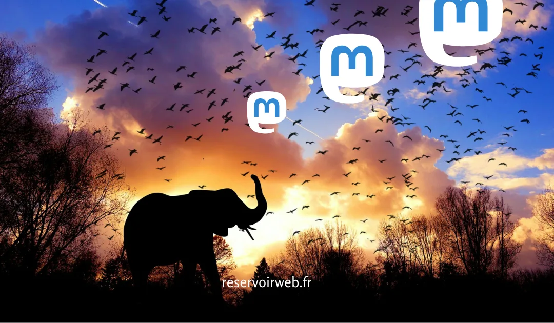 Mastodon : l’alternative aux réseaux sociaux centralisés.