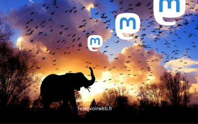 Mastodon : l&rsquo;alternative aux réseaux sociaux centralisés.